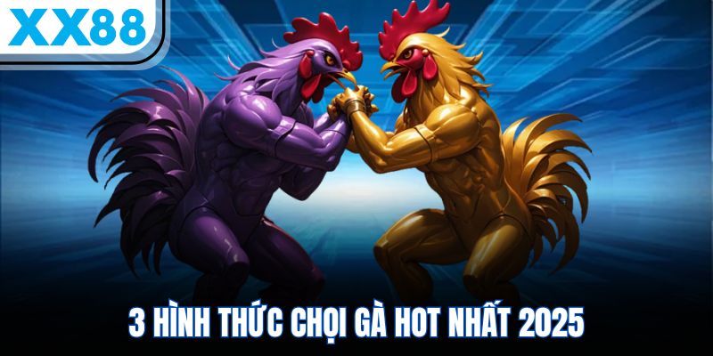 Đá Gà Online XX88 – Đấu Trường Sôi Nổi, Hấp Dẫn Hàng Đầu 2 3 hình thức chọi gà hot nhất 2025