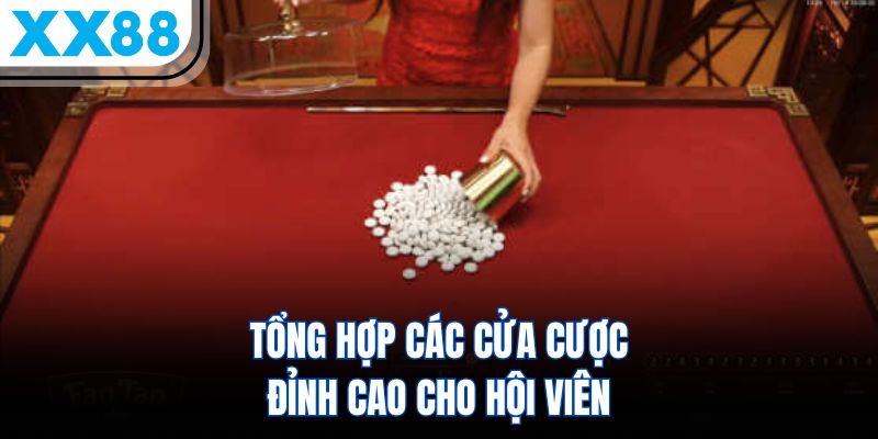 Tổng hợp các cửa cược đỉnh cao cho hội viên